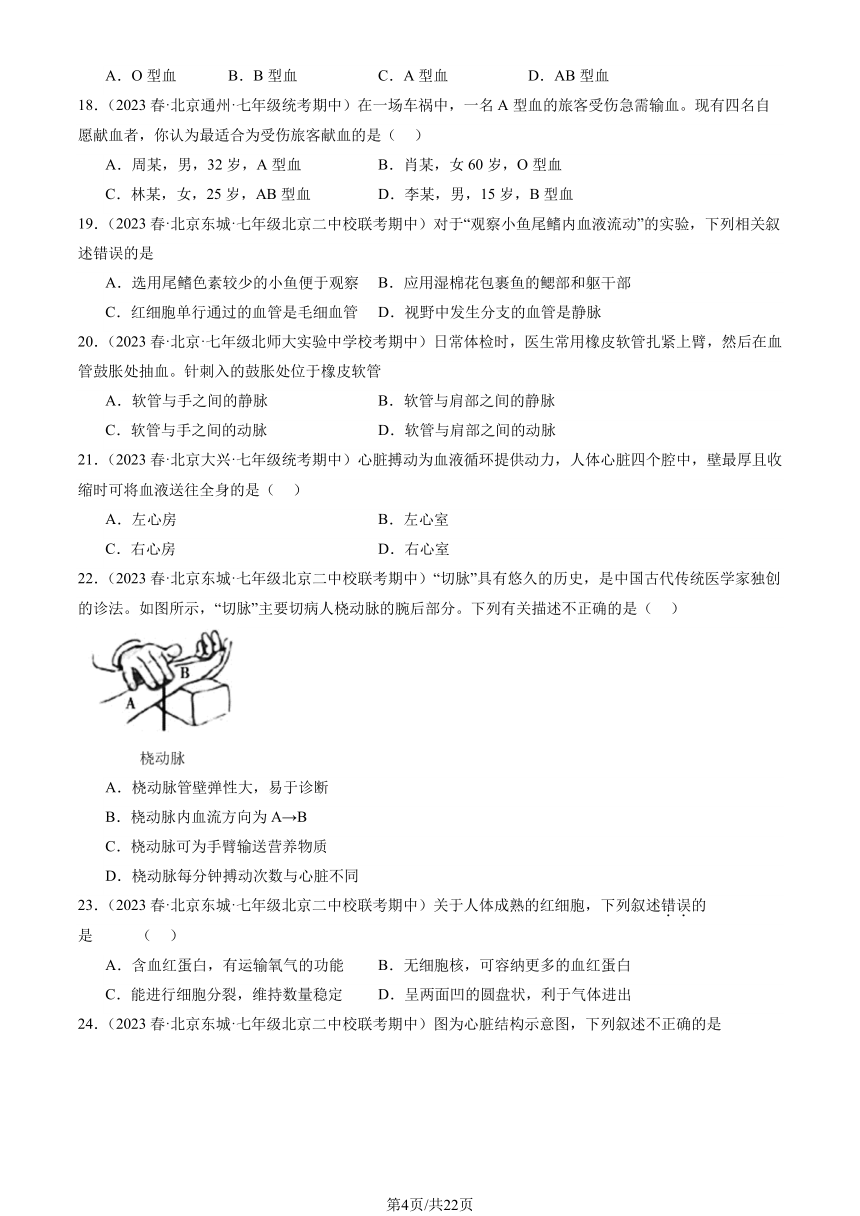 2023北京重点校初一（下）期中生物汇编：人体内的物质运输习题（PDF版含解析）