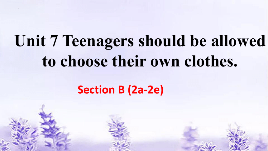 Unit 7 Teenagers should be allowed to choose their own clothes Section B（2a-2e）课件(共22张PPT)