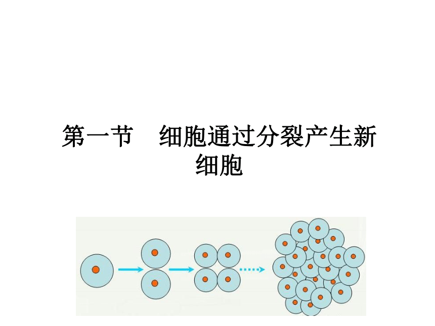 2.2.1 细胞通过分裂产生新细胞课件(共15张PPT)人教版 七年级上册