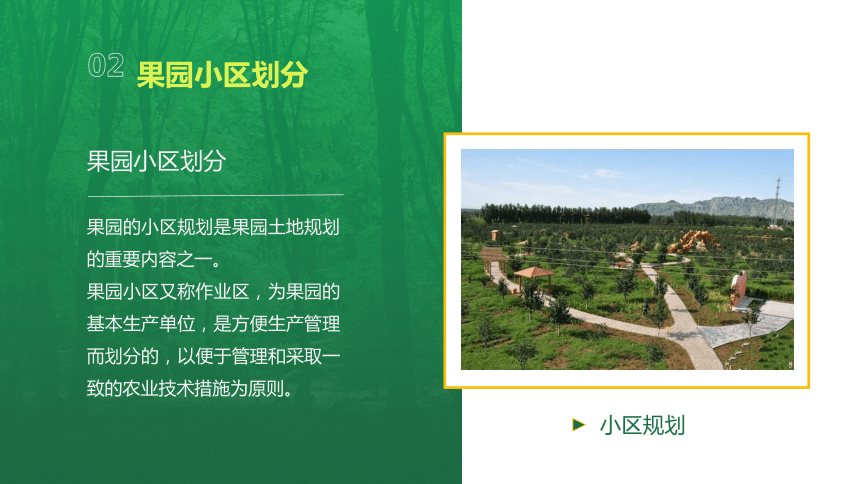 3.2.1园地的土地规划 课件(共16张PPT）-《果树生产技术》同步教学（中国农业出版社）