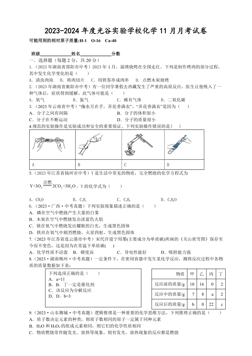 湖北省武汉市光谷实验中学2023-2024学年九年级上学期11月月考化学试卷（无答案）