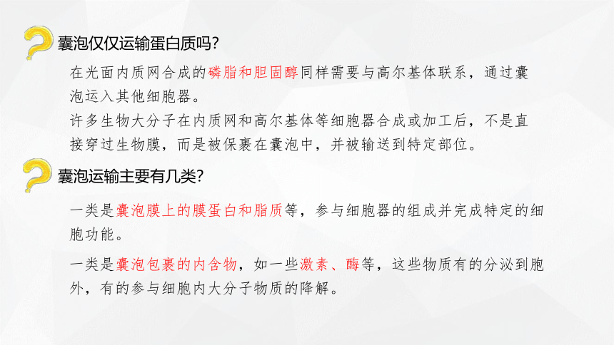 2.5 细胞在结构和功能上是一个统一整体  课件(共21张PPT) 2023-2024学年高一生物 浙教版（2019） 必修一