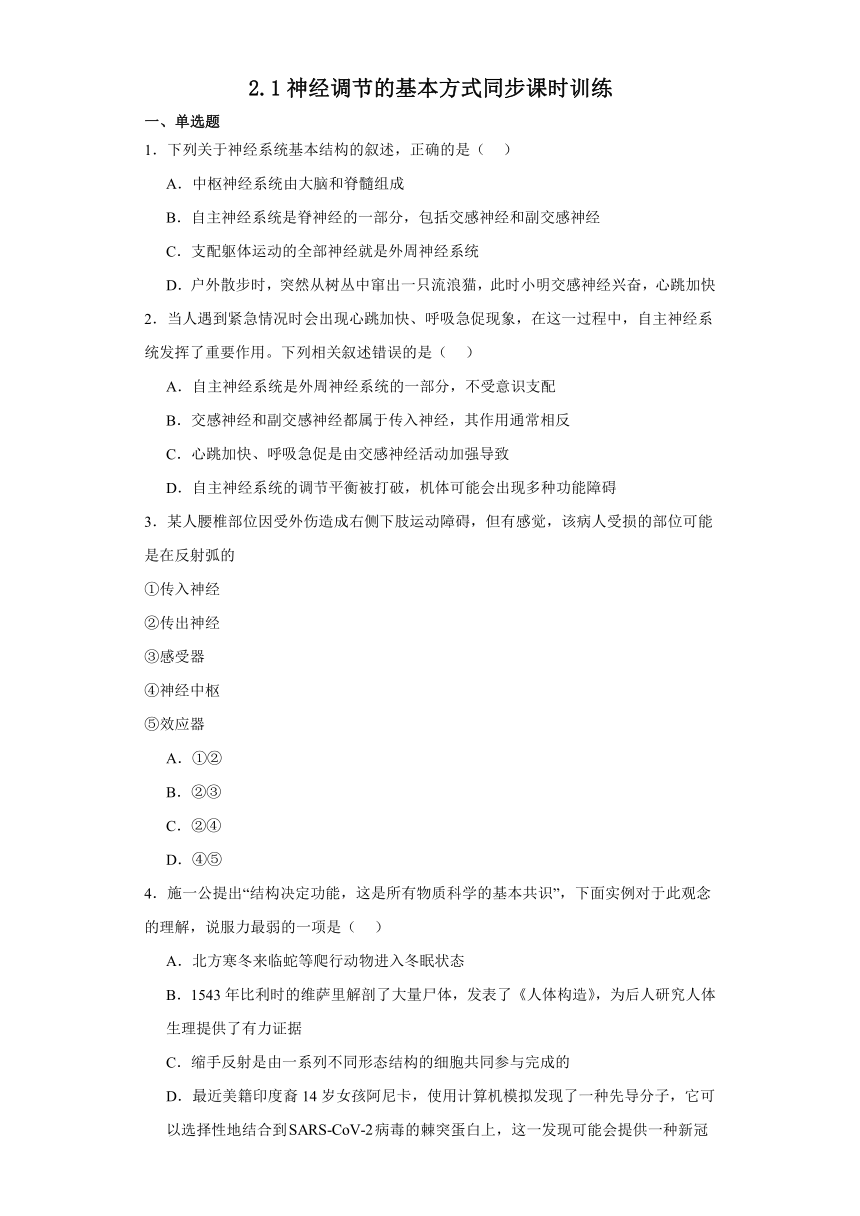 2.1神经调节的基本方式同步课时训练（含答案）-2022-2023学年高二上学期生物北师大版（2019）选择性必修一