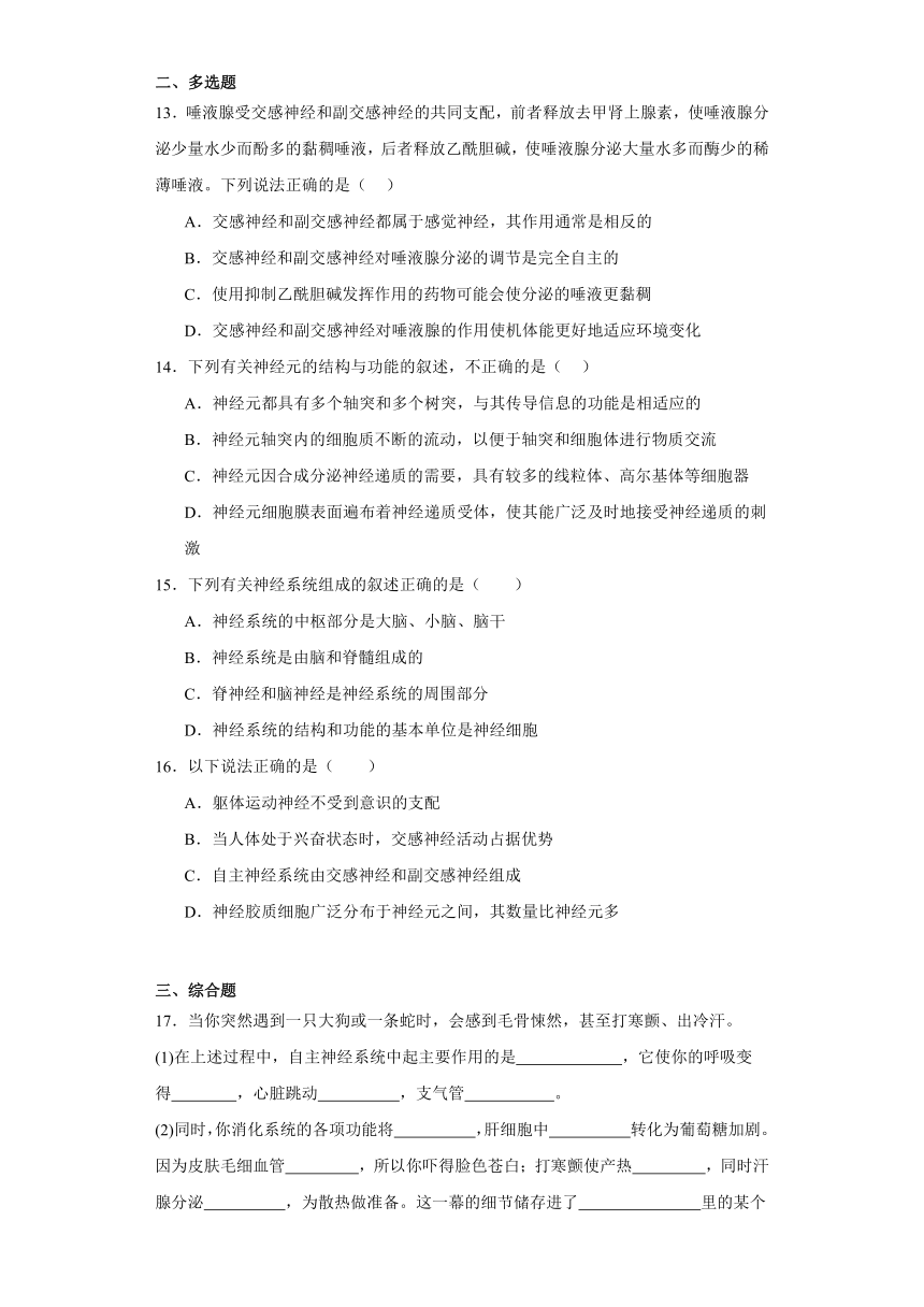 2.1神经系统是神经调节的结构基础同步课时训练2高二上学期生物浙科版（2019）选择性必修一（含答案）