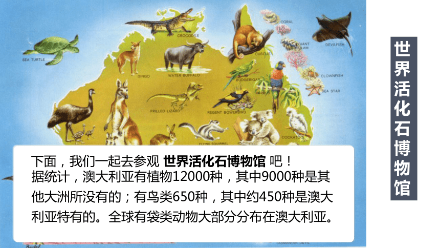 人教版地理七下8.4澳大利亚 课件(共49张PPT内嵌视频)