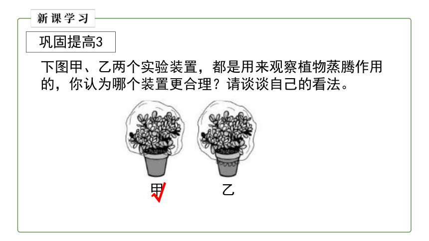 2.1.2绿色植物的蒸腾作用（第一课时）课件(共20张PPT)济南版 七年级生物上册