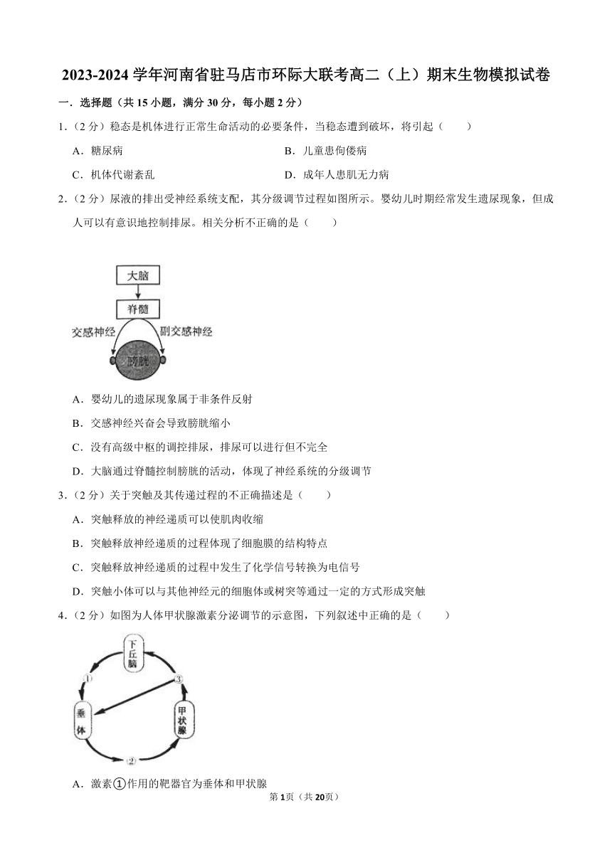 2023-2024学年河南省驻马店市环际大联考高二（上）期末生物模拟试卷（含解析）