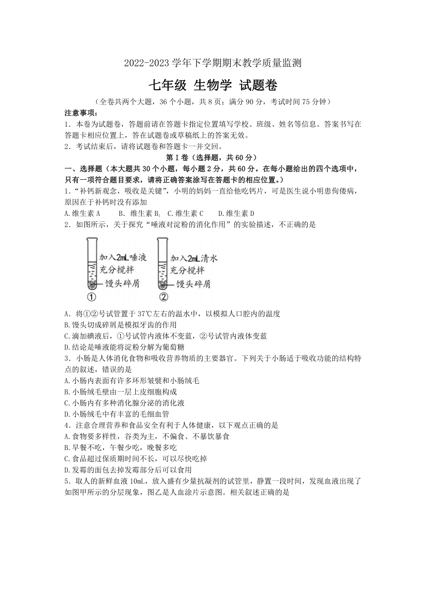 云南省玉溪市峨山县2022-2023学年七年级下学期期末考试生物试题（含答案）