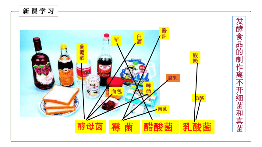 5.4.5 人类对细菌和真菌的利用课件 （共19张PPT）人教版八年级生物上册