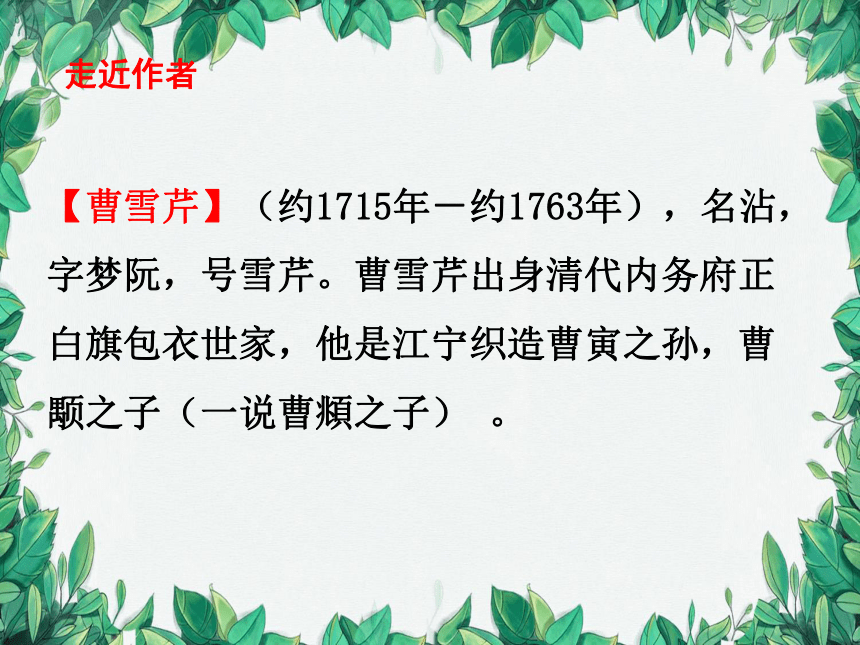 统编版语文九年级上册 25 刘姥姥进大观园课件(共39张PPT)