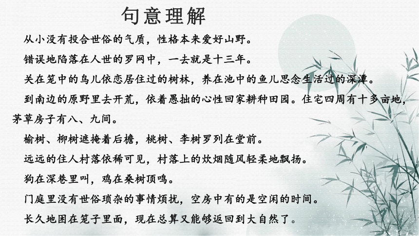 7.2《归园田居（其一）》课件(共24张PPT) 2023-2024学年统编版高中语文必修上册