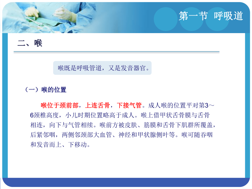 4.1呼吸道 课件(共21张PPT)-《解剖学基础》同步教学（江苏大学出版社）