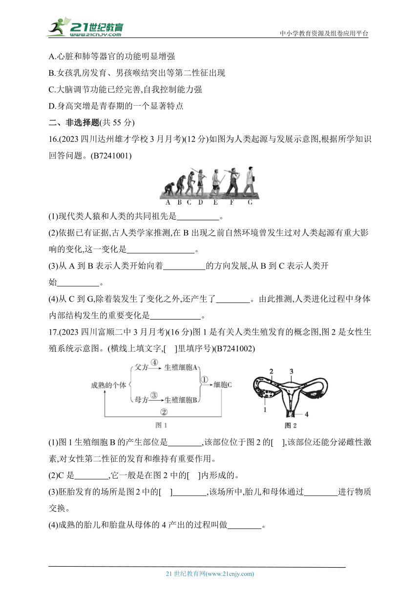 2024人教版生物七年级下册--第一章　素养综合检测（含解析）