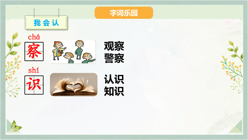 3 植物妈妈有办法 课件(共26张PPT)