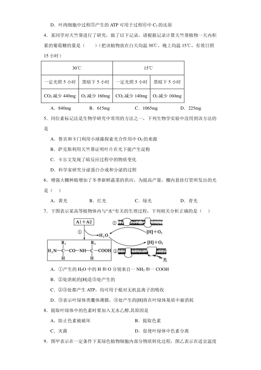 5.4 光合作用与能量转化测试题（含解析）2023-2024学年高中生物学人教版（2019）必修1