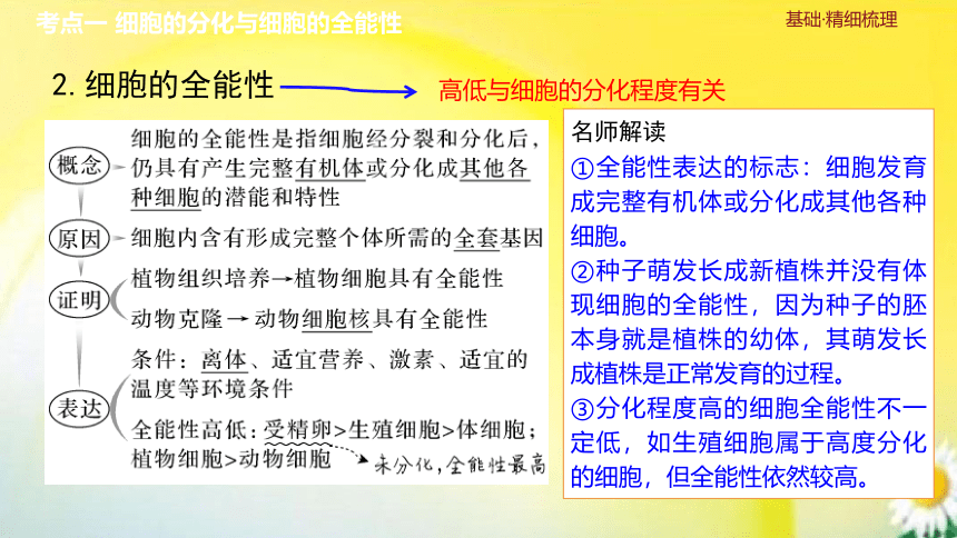 高三生物总复习课件-必修1 分子与细胞：第14讲　细胞的分化、衰老和死亡(共30张PPT)