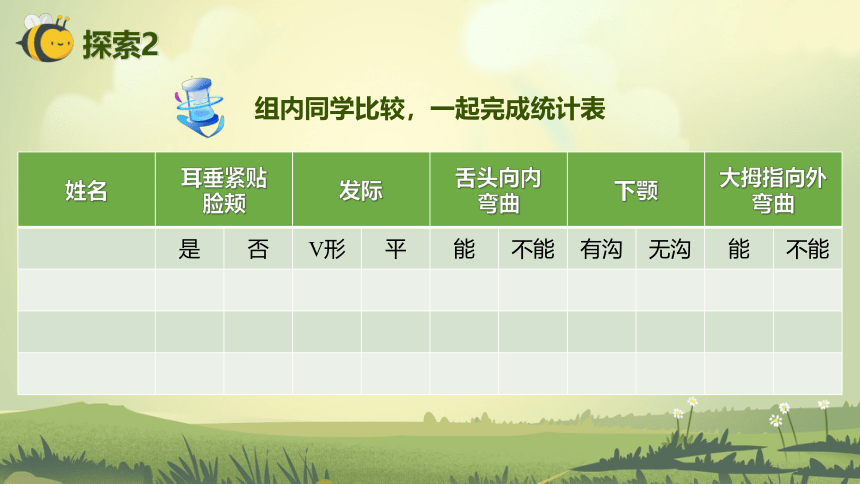 【新课标】2.5 相貌各异的我们 课件（24张PPT）