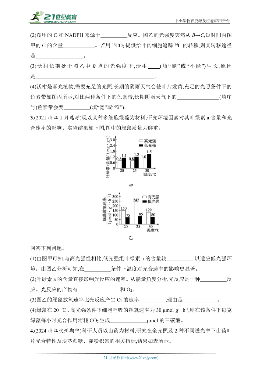 2025浙科版新教材生物学高考第一轮基础练--作业13　叶绿体与光合作用过程（含解析）