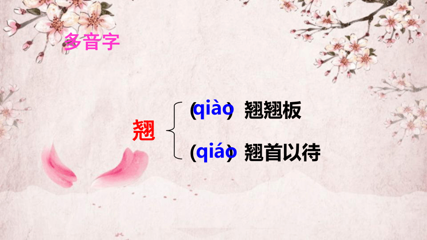 15小虾 课件(共23张PPT)