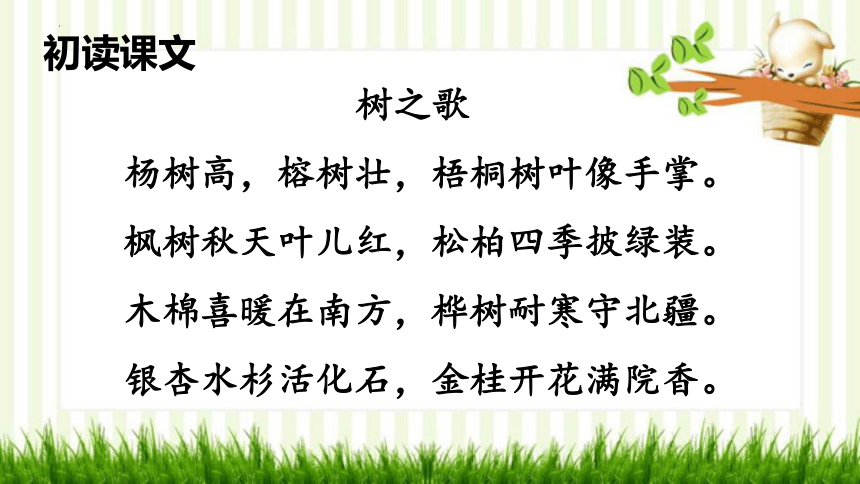 2 树之歌 课件(共23张PPT)