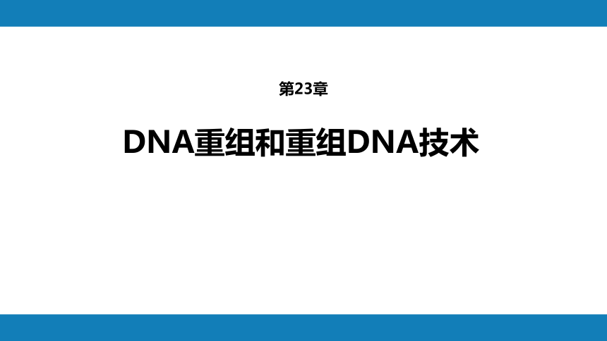 中职《生物化学与分子生物学》（人卫第9版）第二十三章  DNA重组和重组DNA技术 同步课件(共49张PPT)
