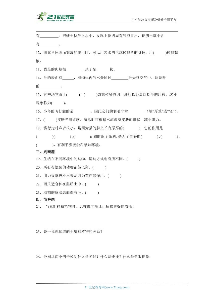 青岛版六三制三年级上册科学科学期中综合训练（1-3单元）（含答案）