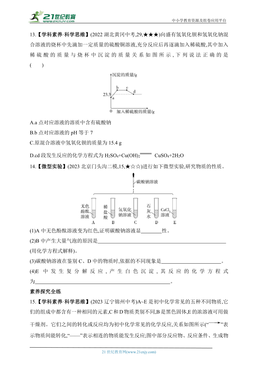 2024北京课改化学九年级下学期课时练--第二节   盐的性质