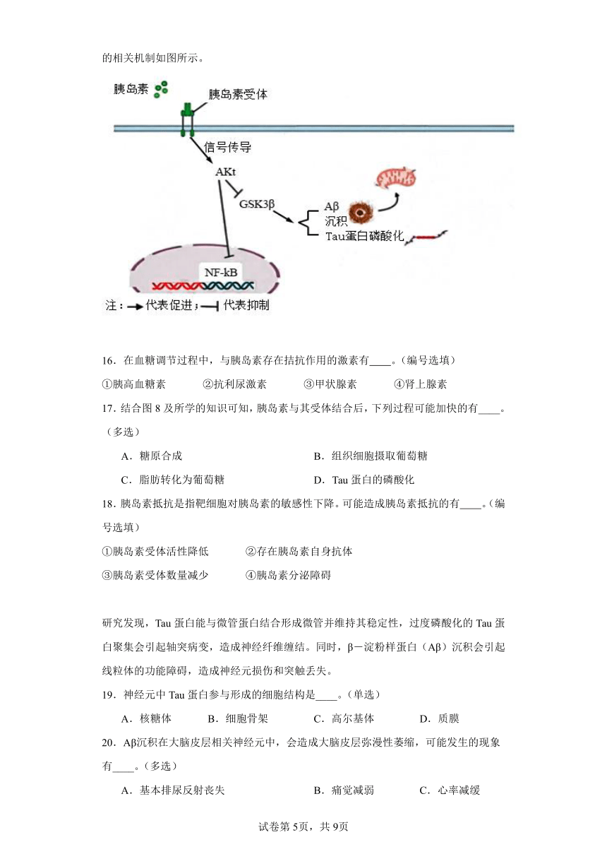 2024届上海市青浦区高三二模生物试卷（含解析）