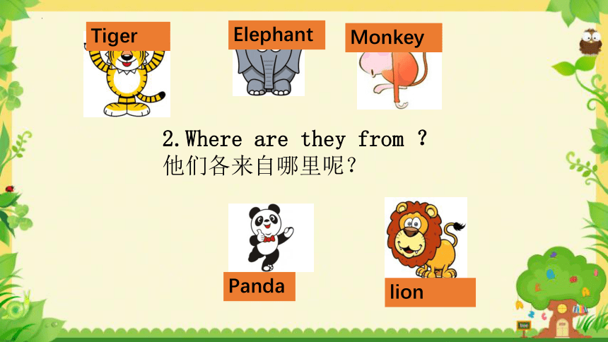 Unit 8 Talent show，Lesson 1 I'm from China.课件(共20张PPT)
