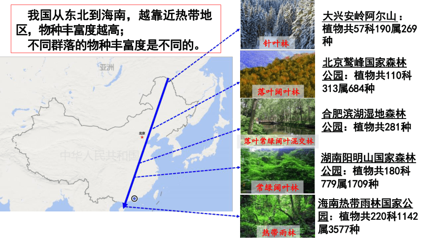 2.1群落的结构课件 （共33张PPT）人教版选择性必修2