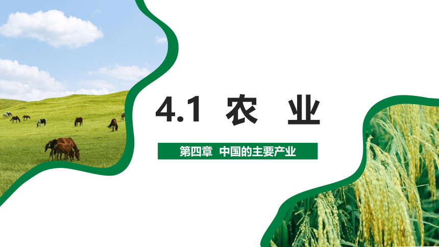 4.1 农业 公开课课件（共26张PPT）