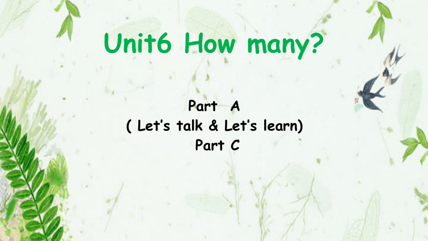 Unit6 How many  Part  A  Let’s talk & Let’s learn 课件(共28张PPT)