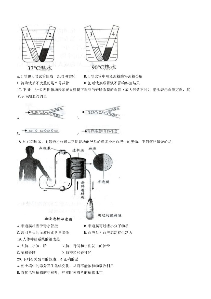 山西省临汾市襄汾县2022-2023学年七年级下学期期末考试生物学试题（含答案）