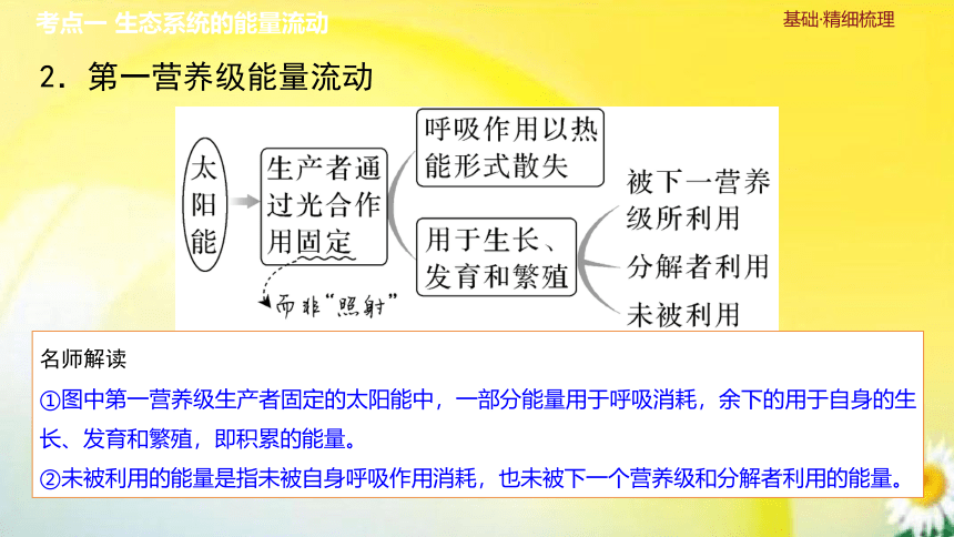 高三生物总复习课件-选择性必修2 生物与环境：第41讲　生态系统的能量流动(共26张PPT)