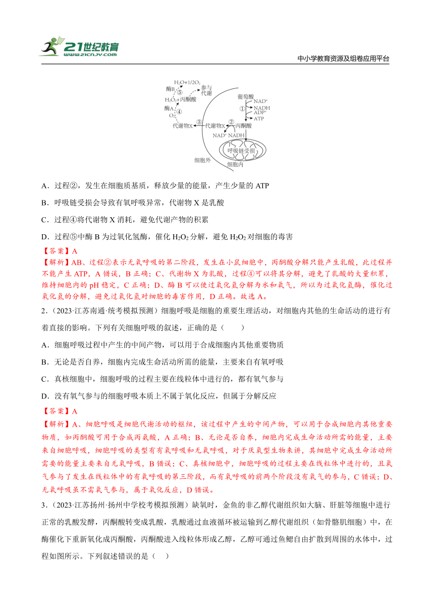 【备考2024】高中生物一轮复习学案 第4讲 细胞的能量代谢（2）——呼吸作用（含解析）