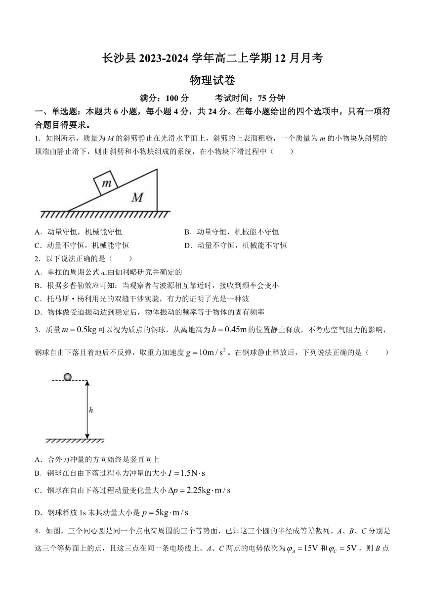 湖南省长沙市长沙县2023-2024学年高二上学期12月月考物理试题（含答案）