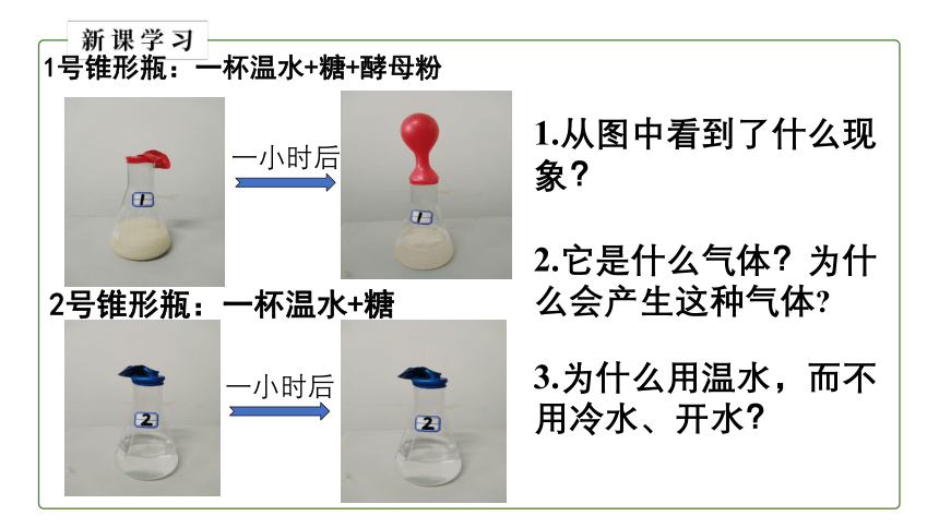 5.4.5 人类对细菌和真菌的利用课件 （共19张PPT）人教版八年级生物上册