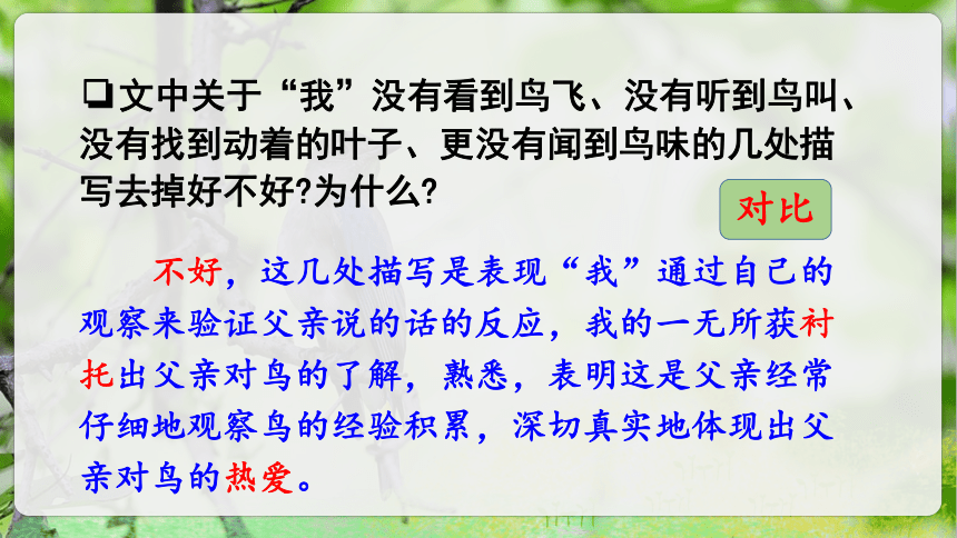 23.《父亲、树林和鸟》第二课时课件（共35张PPT）