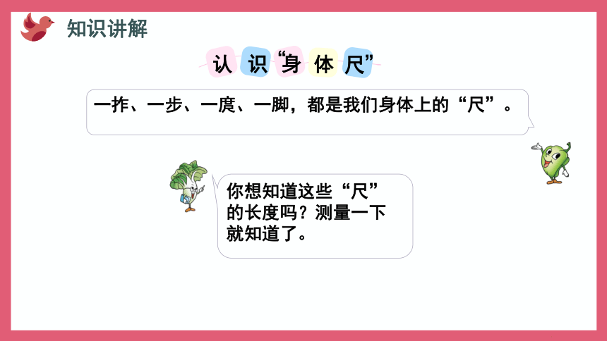 5.4 我们身体上的“尺”（课件）二年级上册数学苏教版(共18张PPT)