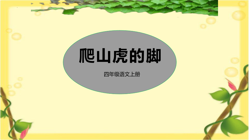 10《爬山虎的脚》   课件(共25张PPT)