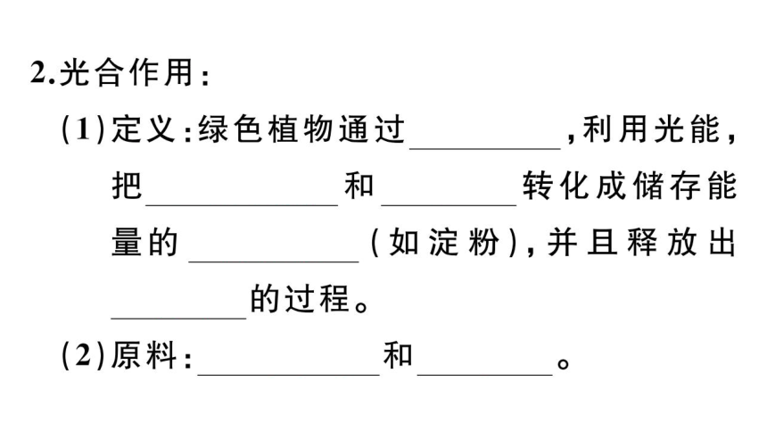 七年级上册专项六  植物的三大生理作用课件(共41张PPT)