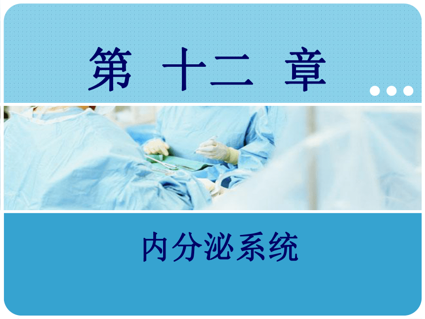 12.2甲状腺 课件(共21张PPT)-《解剖学基础》同步教学（江苏大学出版社）