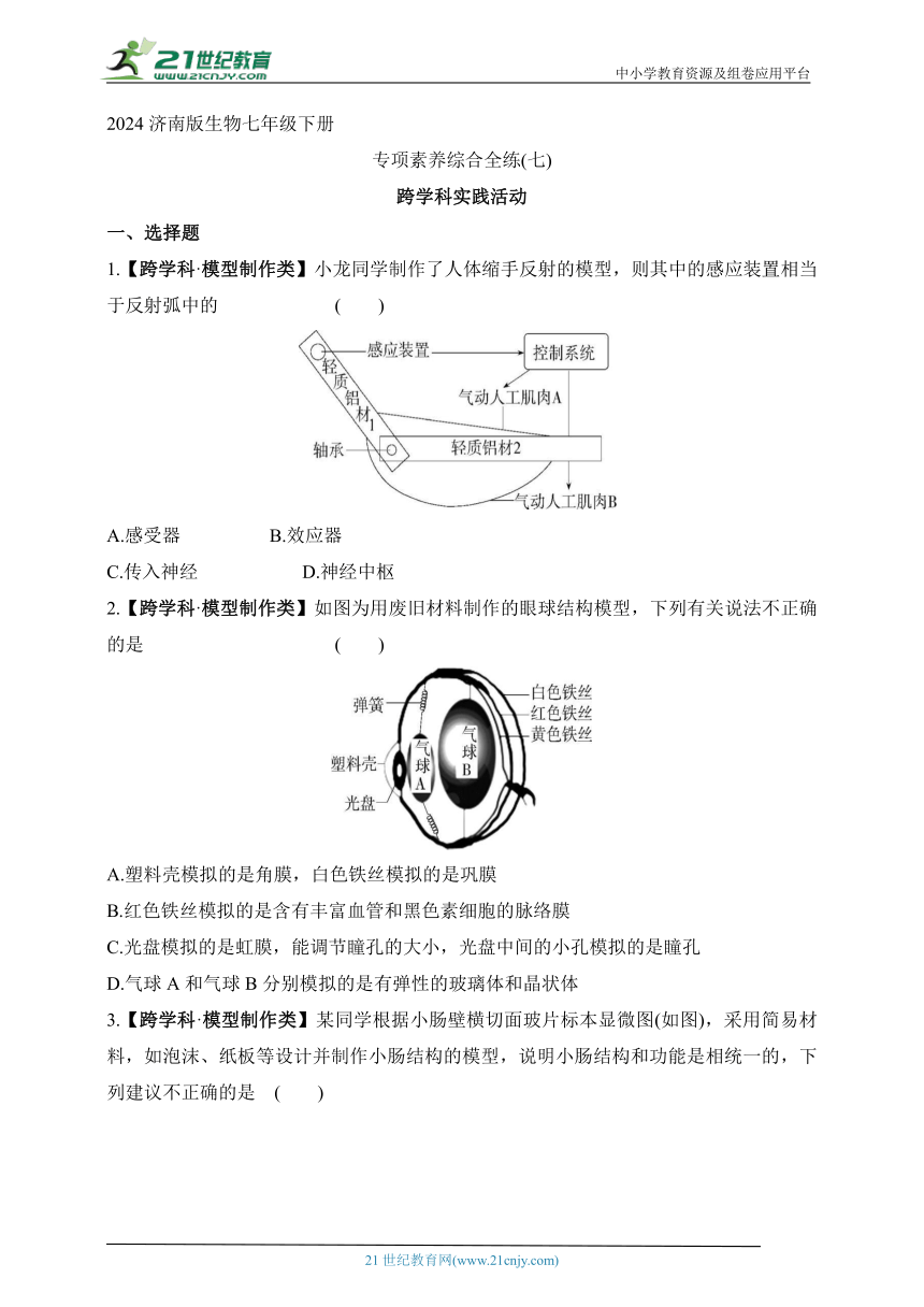 2024济南版生物七年级下册--专项素养综合全练(七)   跨学科实践活动（含解析）