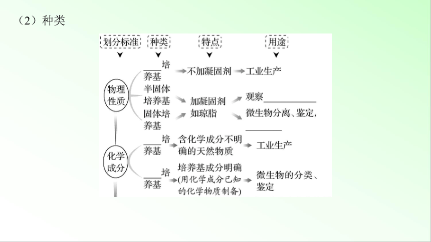 新教材生物一轮复习课件：第10单元 生物技术与工程 第2讲　微生物的培养技术及应用(共94张PPT)