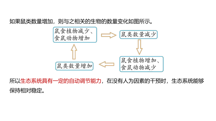 2.5生态系统的稳定性（课件 23张PPT)