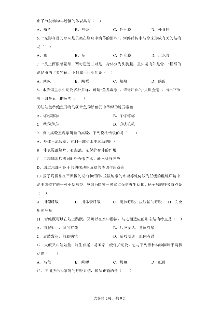 海南省海口市2023-2024学年八年级上学期期中测试生物试卷（含解析）