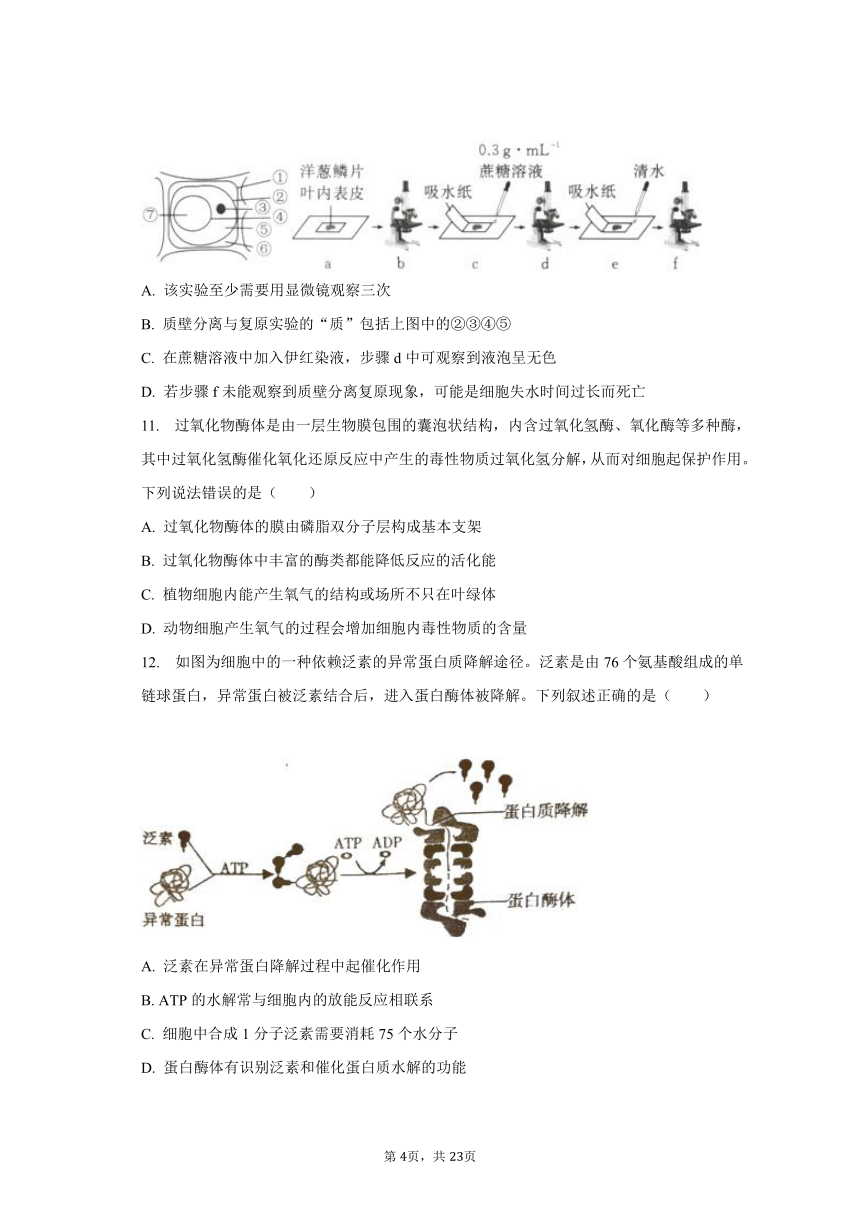 2023-2024学年重庆市西北狼教育联盟高三（上）开学生物试卷（Word含解析）