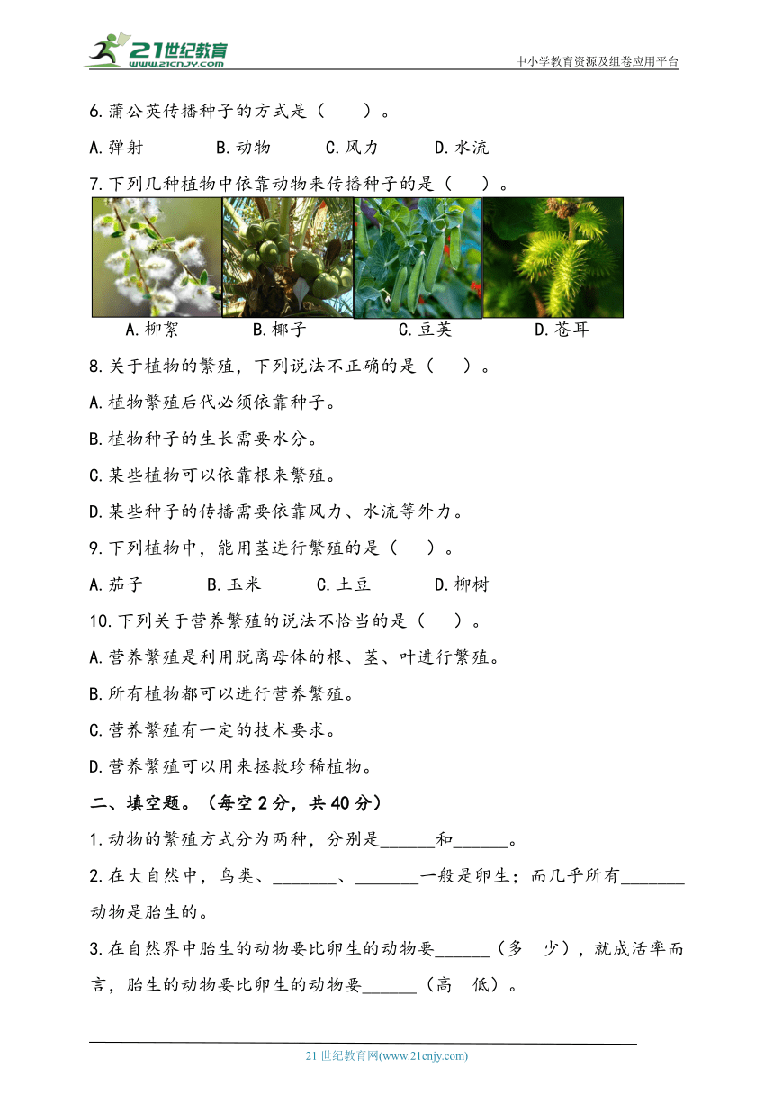 2023年秋人教鄂教版科学四年级上册第二单元 动植物的繁殖 检测卷（含答案）