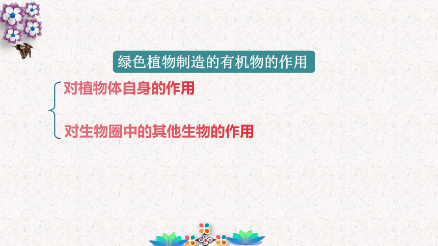 3.4 绿色植物是生物圈中的有机物的制造者-2023-2024学年七年级生物优质课件（人教版）(共17张PPT)