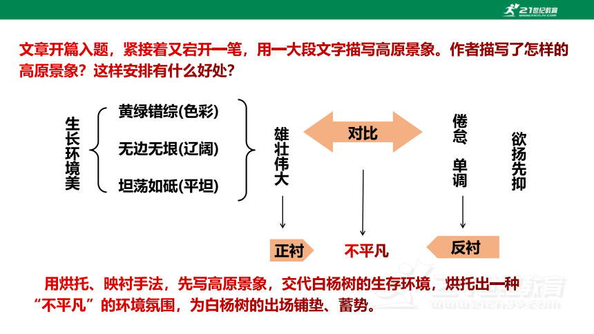 【备课先锋】第15课 白杨礼赞 第2课时 课件(共30张PPT)